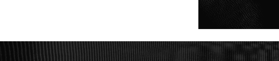 Right Glitch image